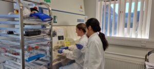 Innovate UK-funded biotech company accelerates cheaper drug and vaccin &hellip;