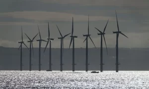 No bids for offshore wind in government auction dealing critical blow  &hellip;