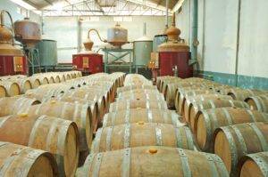 Independent Scottish organic whisky distillery Nc’nean secures new f &hellip;