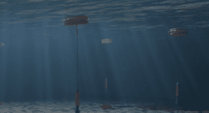 Ocean Harvesting to raise €500,000 for InfinityWEC Design Update and &hellip;