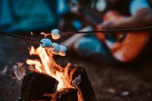 Victory for Innovative Bites Ltd as Judges Rule Marshmallows Not Subje &hellip;