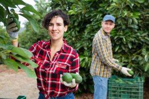 Summer Job Cuts as Minimum Wage Increase Bites