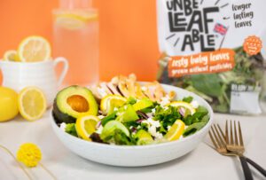 GrowUp Secures £38M Investment from Generate Capital to Expand Vertic &hellip;