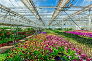 Post-Brexit Border Delays Threaten UK and EU Horticulture Trade, Indus &hellip;