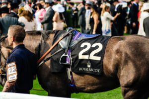 Tax changes ‘threaten future of horse racing’, warns parliamentary &hellip;